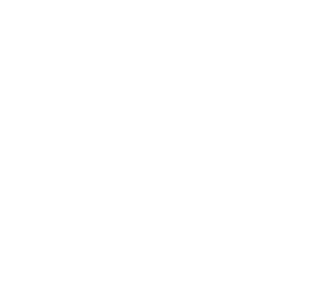 IRONKEYS Logo